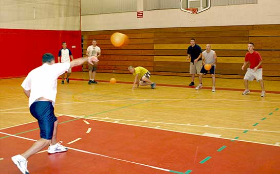 Dodgeball Travel Insurance