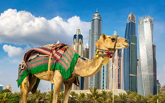 United Arab Emirates Travel Insurance